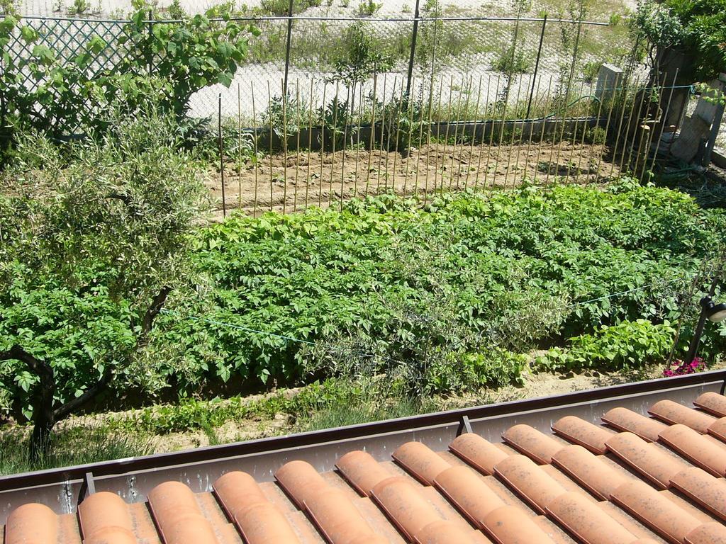 Nonna Alda Bed & Breakfast Viareggio Rom bilde