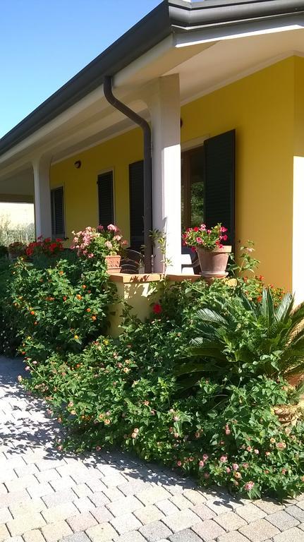 Nonna Alda Bed & Breakfast Viareggio Eksteriør bilde